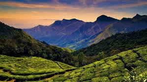 Nilgiri Image